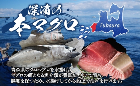 国産天然本マグロの赤身・中トロセット　C-03