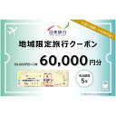 【ふるさと納税】日本旅行 佐賀県鳥栖市地域限定旅行クーポン【60，000円分】　鳥栖市