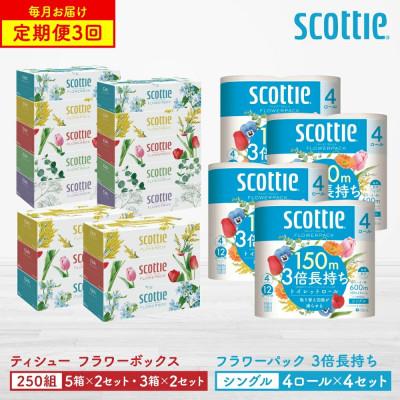 ふるさと納税 八代市 【毎月定期便】スコッティティシュー5箱P×2+3箱P×2+トイレット4ロール(シングル)P×4全3回