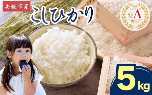 【2026年先行予約】ごはんが主役！矢板市産こしひかり 白米 5kg お米 栃木県 矢板市