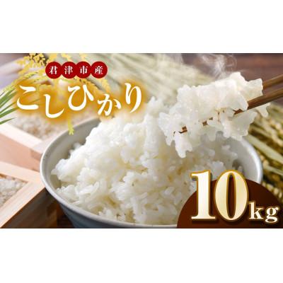 ふるさと納税 君津市 【令和7年度産】君津市産こしひかり　精米　10kg(5kg×2袋)