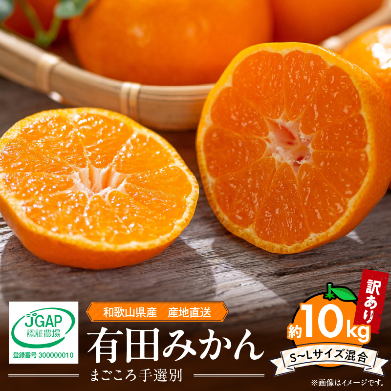 ZE6424_【2026年先行予約】【家庭用】 和歌山県産　有田みか