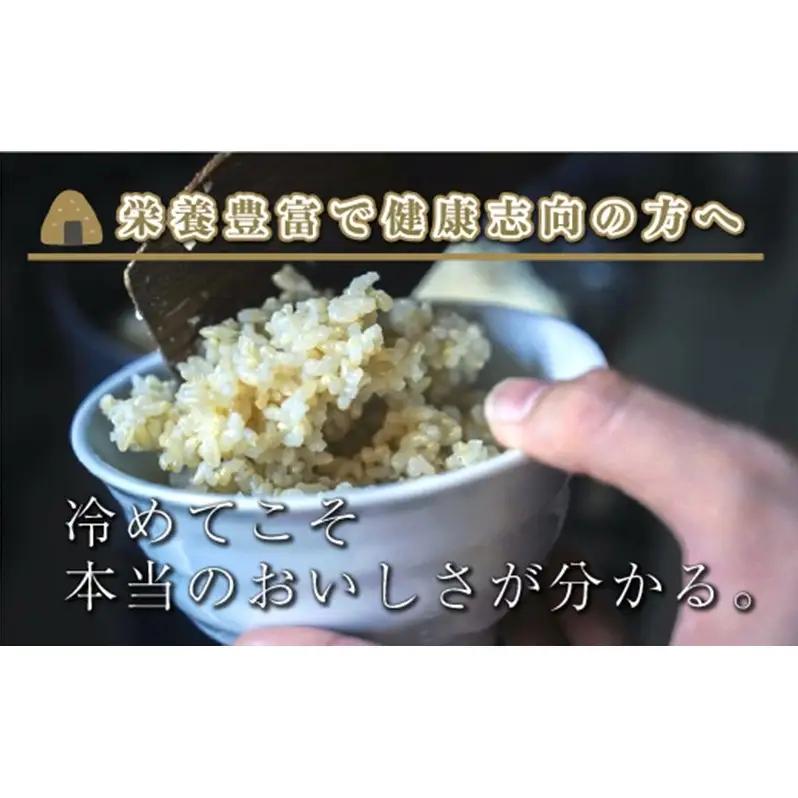 【令和8年産 先行予約】【定期便／全3回】玄米10kg 新潟県魚沼産コシヒカリ「山清水米」