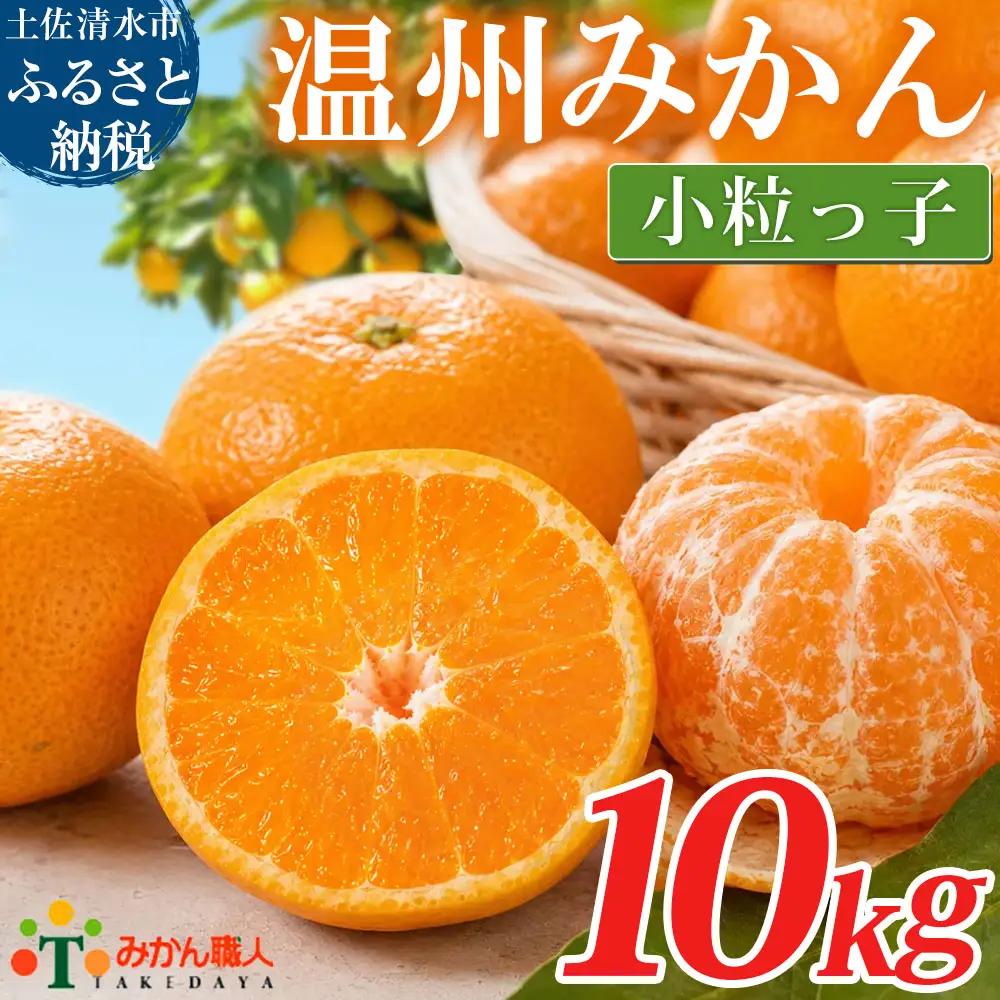 温州みかん 小粒っ子 10kg 傷み補償 300g 柑橘 果物 フルーツ 不揃い オレンジ 訳アリ 蜜柑 果実 みかん 極早生 早生 晩生 光センサー選果 みかん職人武田屋 高知県 土佐清水市【R01792】