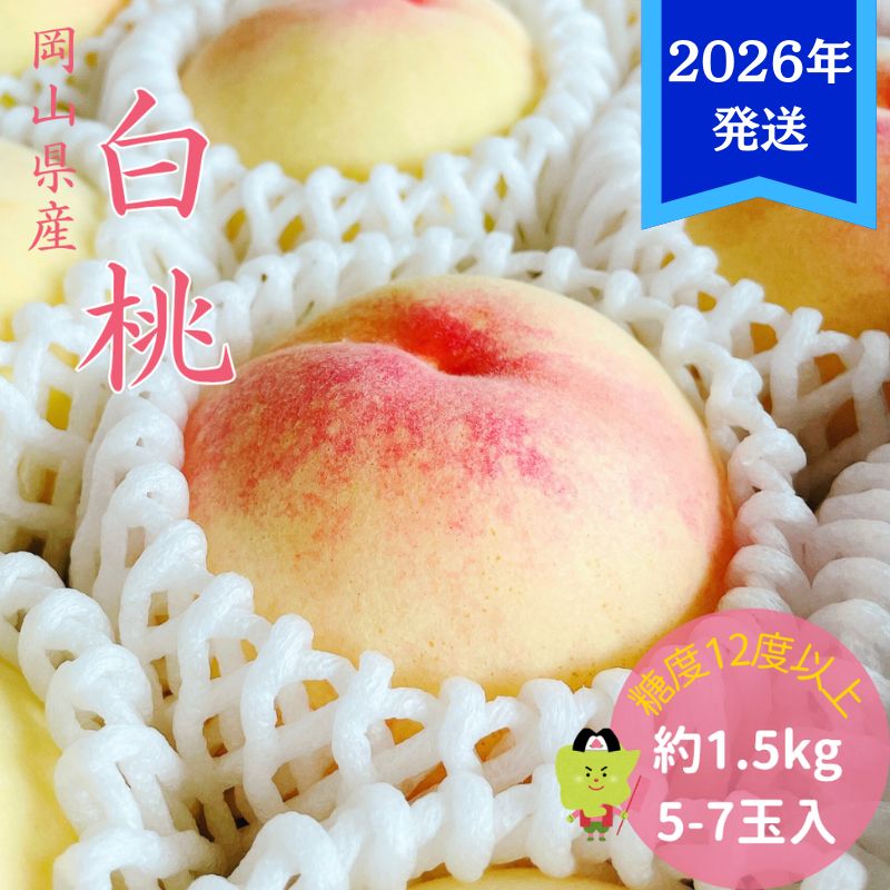 【ふるさと納税】【2026年先行受付】 白桃 特秀 ロイヤル 中玉 約1.5kg(5～7玉)岡山県産 桃 もも モモ 御中元 ギフト 御礼 プレゼント 御礼 御祝 御供 果物 くだもの フルーツ　お届け：2026年7月上旬～2026年8月上旬