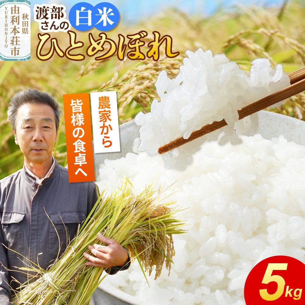【ふるさと納税】【白米】 ＜通算5回 特A＞ ひとめぼれ 5kg 令和7年産 農家直送 渡部さんのひとめぼれ [ひとめぼれ 米 お米 こめ 白米 精米 ブランド米 食卓 おにぎり 秋田県産 秋田県 由利本荘市]