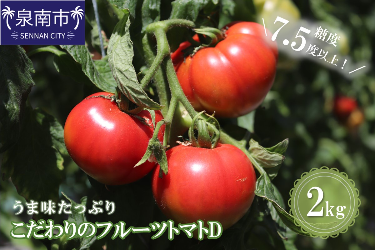 【糖度7.5以上】うま味たっぷり こだわりのフルーツトマトD 2kg【配送不可地域：北海道・沖縄・離島】【093E-003】