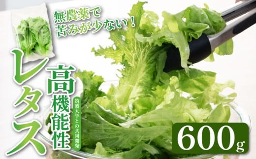高機能性 レタス 無農薬 600g グリーンリーフ 産地直送 高機能性野菜 水耕栽培 新鮮 健康 弁当 フードロス ダイエット ベジタブル ヴィーガン ベジタリアン アイクス 埼玉県 羽生市 