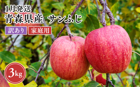 りんご 家庭用 サンふじ 約3kg【hi-0068-018】