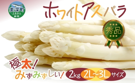 2026年発送  ホワイトアスパラ 2kg(2L～3L ）【秀品】 白旬 新鮮 野菜 朝採れ アスパラ アスパラガス ギフト 産地直送 お取り寄せ フレッシュ 甘い 春 春野菜 旬の味覚  季節 送料