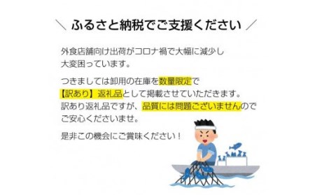 【訳あり】本マグロ希少部位三点セット約600g 本鮪 本まぐろ【nks201】