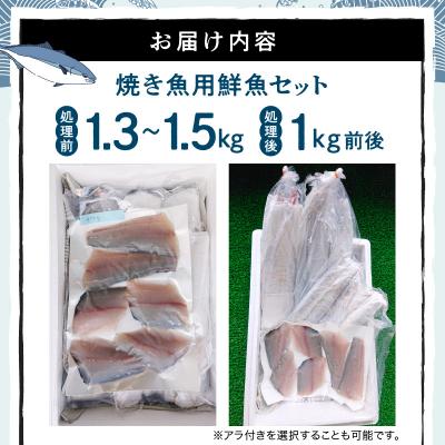 ふるさと納税 天草市 【指定日必須】焼き魚用　鮮魚セット_S121-001A |  | 02