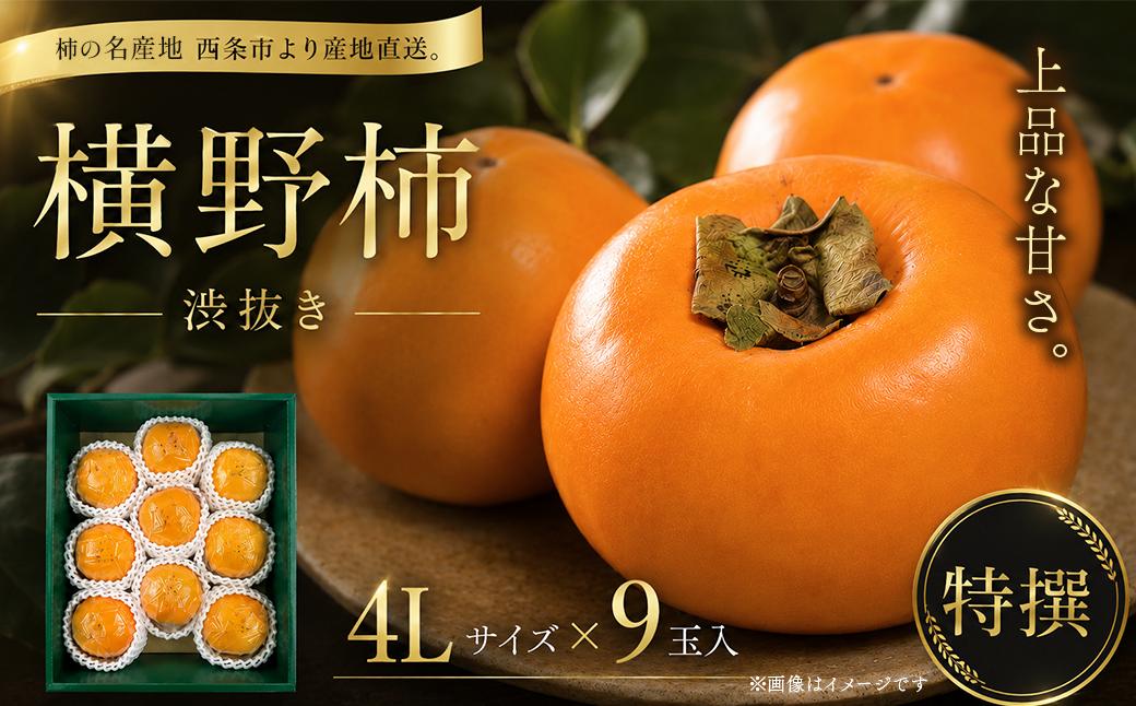 
                  柿 愛媛県西条市産 「横野柿（渋抜き）」（JA周桑） 特撰4Lサイズ×9玉入り 【先行予約】 【2026年12月発送】 周ちゃん広場 ｜ フルーツ 柿 かき カキ 果物 渋抜き柿 産地直送 秋の味覚 旬 愛媛県 西条市 送料無料
                
