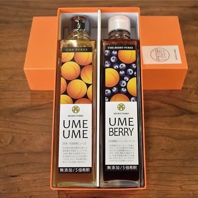 ふるさと納税 京丹波町 UMEUME(梅)・UMEBERRY(梅ベリー) 丹波・梅ピューレ |  | 01