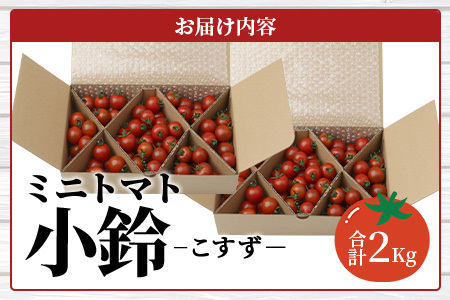 田淵さんちの美味しいミニトマト小鈴 2kg（1.0kg×2箱）