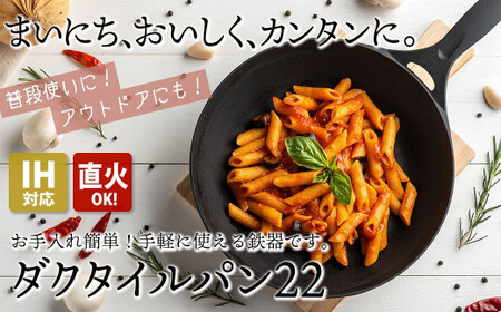 IH対応 鉄 フライパン ダクタイルパン 22cm スキレット 錆びにくい アウトドア 岩手製鉄 I0102