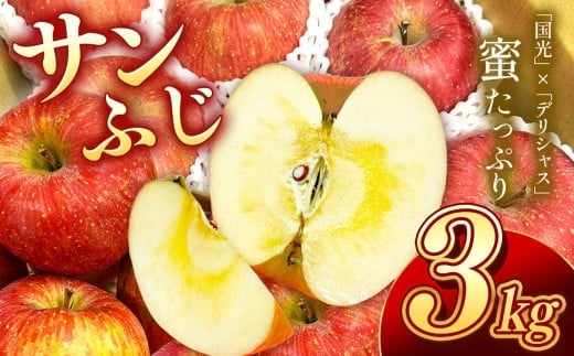 人気の品種!長野県産りんご(サンふじ) 約3kg 秀品＜2025年11月下旬～12月中旬発送＞ | 果物 くだもの フルーツ りんご 林檎 リンゴ サンふじ 長野県 信州 南信州 飯田市