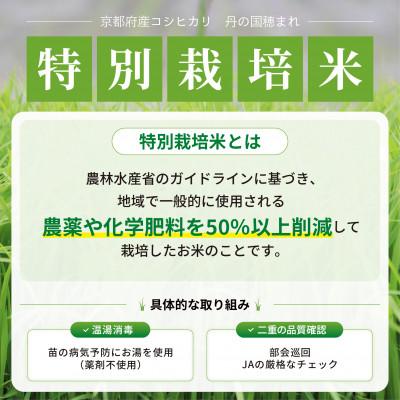 ふるさと納税 舞鶴市 【毎月定期便】京都府産　特別栽培米コシヒカリ「丹の国穂まれ」5kg 全3回 |  | 01
