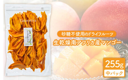 生乾燥南アフリカ産マンゴー中パック255g【多々楽達屋】砂糖不使用 ドライフルーツ 無添加 たたらちや tataratiya   [MAD016]