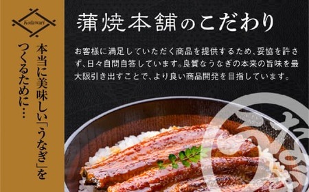 うなぎ蒲焼 大2尾 定期便3回 超絶 うなぎ