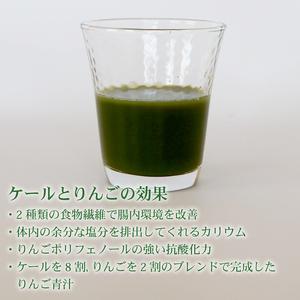 【12回定期便】 りんご青汁2.8kg【生】冷凍 | 100g✕28パック 生青汁 国産青汁 ケール100％青汁 青汁セット 大豆青汁