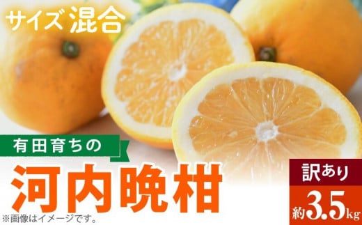 AB7041n_【2026年先行予約】有田育ちの 河内晩柑 【訳あり 家庭用】3.5kg (サイズ混合)【ミカン 蜜柑 灘オレンジ サウスオレンジ 柑橘 フルーツ 和歌山 有田】