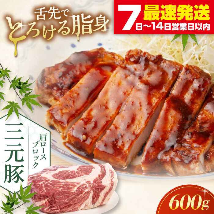 【ふるさと納税】平田牧場 肩ロースブロック 600g《喜茂別町》【平田牧場】 肉 豚肉 ロース ブロック ローストポーク 煮豚 酢豚 煮物 冷凍配送 北海道 平田牧場 三元豚 [AJAP074] 10000 10000円 1万円