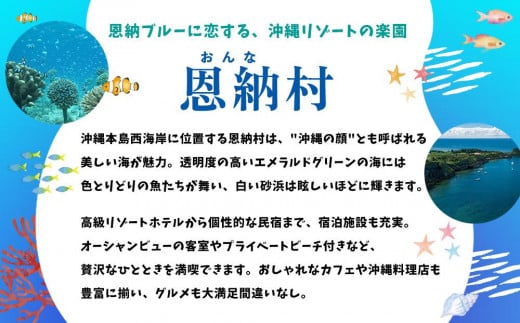 HISふるさと納税クーポン（沖縄県恩納村）300,000円分｜沖縄旅行 沖縄観光 沖縄ホテル 宿泊券 クーポン 旅行券 ホテル