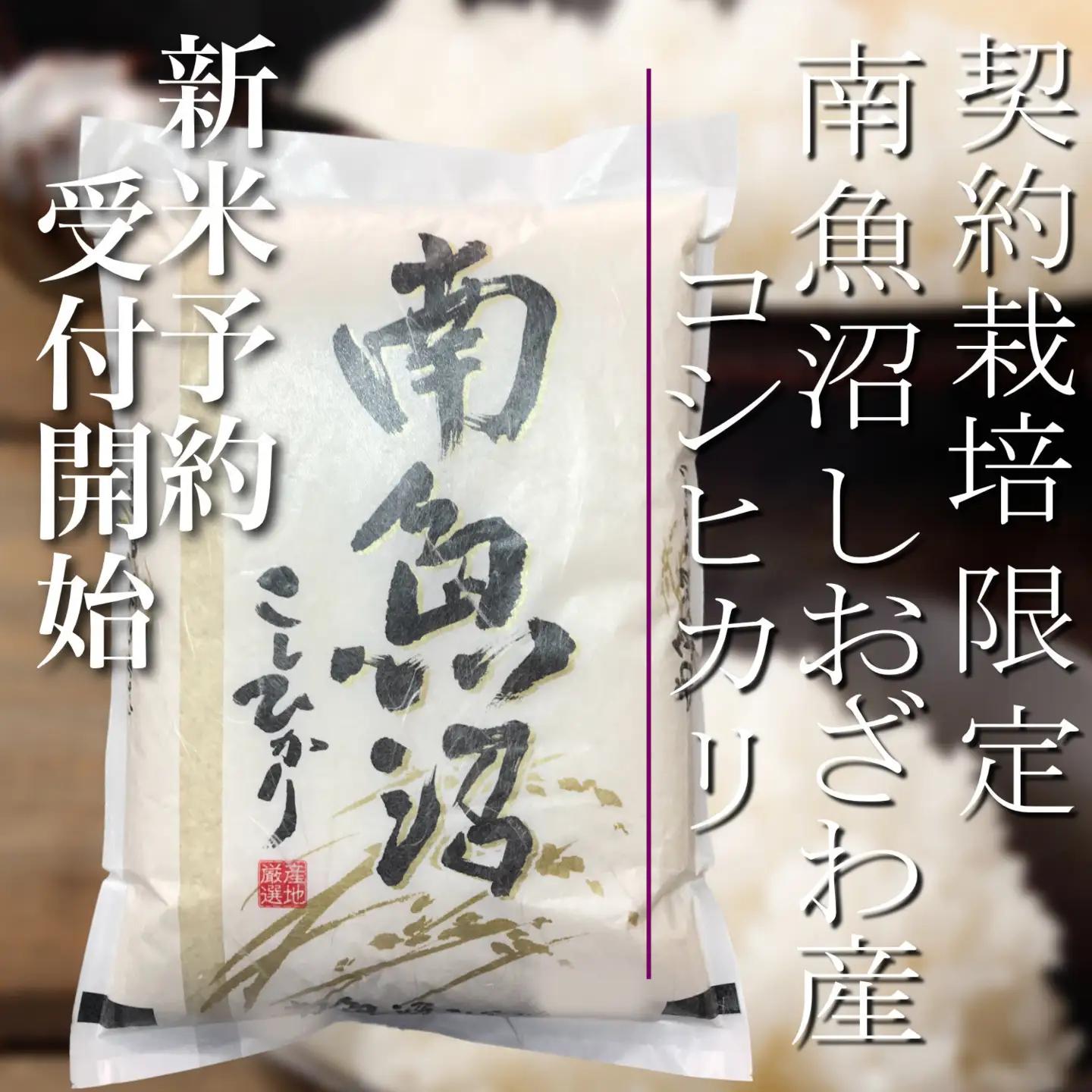 【令和8年　新米予約】定期便12ヶ月：精米2Kg 契約栽培限定 南魚沼しおざわ産コシヒカリ【2026年10月上旬から1ヶ月以内に順次発送予定】｜コシヒカリ