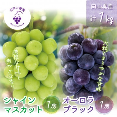 【2026年先行受付】岡山　花笑み農園の『オーロラブラック＆シャインマスカット』1kg(2房)AS【配送不可地域：離島・北海道・沖縄県】