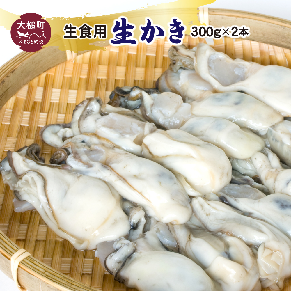 【期間限定2026年2月～4月発送】生食用 牡蠣 むき身 300g×2個【05】