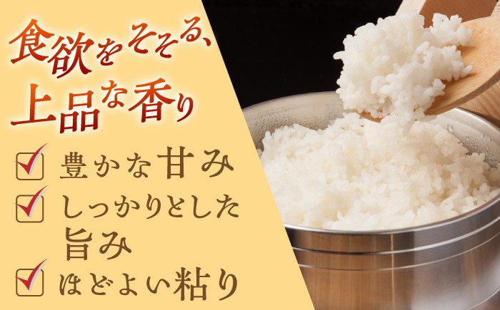 お米 米 ご飯 白米 白ご飯 ごはん コメ お弁当 精米 精白米 夢しずく