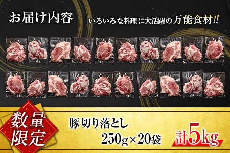 数量限定 豚切り落とし 計5kg 肉 豚 豚肉 国産 おかず 食品 お肉 しゃぶしゃぶ 送料無料_CC28-23