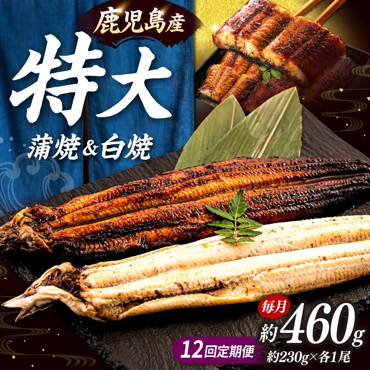 全12回定期便 鹿児島産うなぎ2尾 蒲焼・白焼セット 桂川町/山水商事 [ADAH020] うなぎ 蒲焼き 白焼き セット 九州