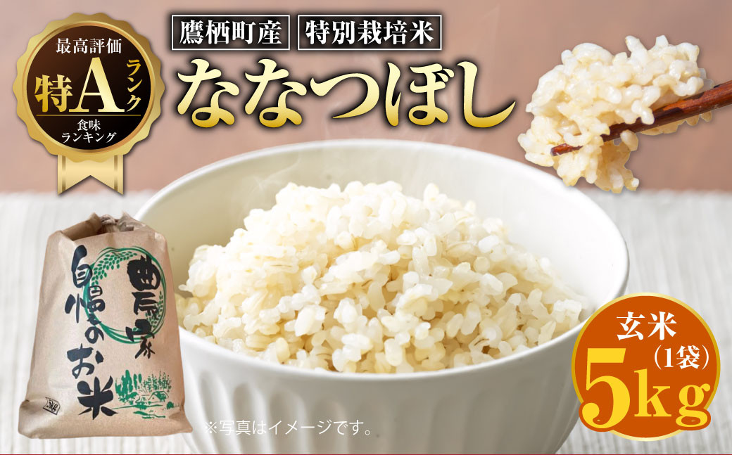 
            【令和7年産】ななつぼし（玄米）特Aランク 5kg 北海道 鷹栖町 たかすのおむすび 米 コメ ご飯 玄米 お米 ななつぼし 【2025年9月下旬より発送予定】
          
