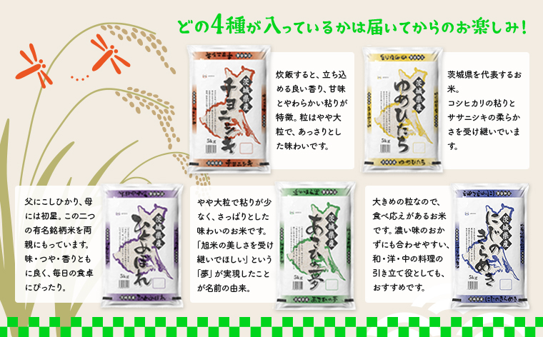 【6か月毎月発送】＜2024年11月下旬初回発送＞ 定期便 1000セット 限定 お米 4種 食べくらべ 20kg 茨城県産