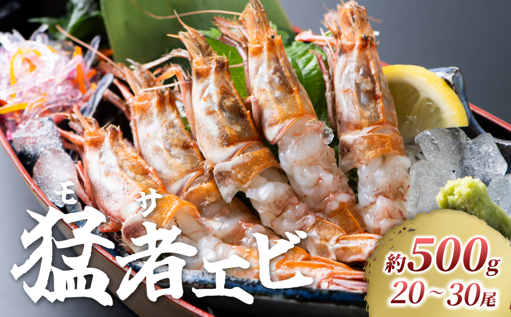 【先行予約】幻のえび モサエビ約500g｜鳥取 岩美 海老 エビ えび 幻のえび 先行予約 冷蔵【23006】