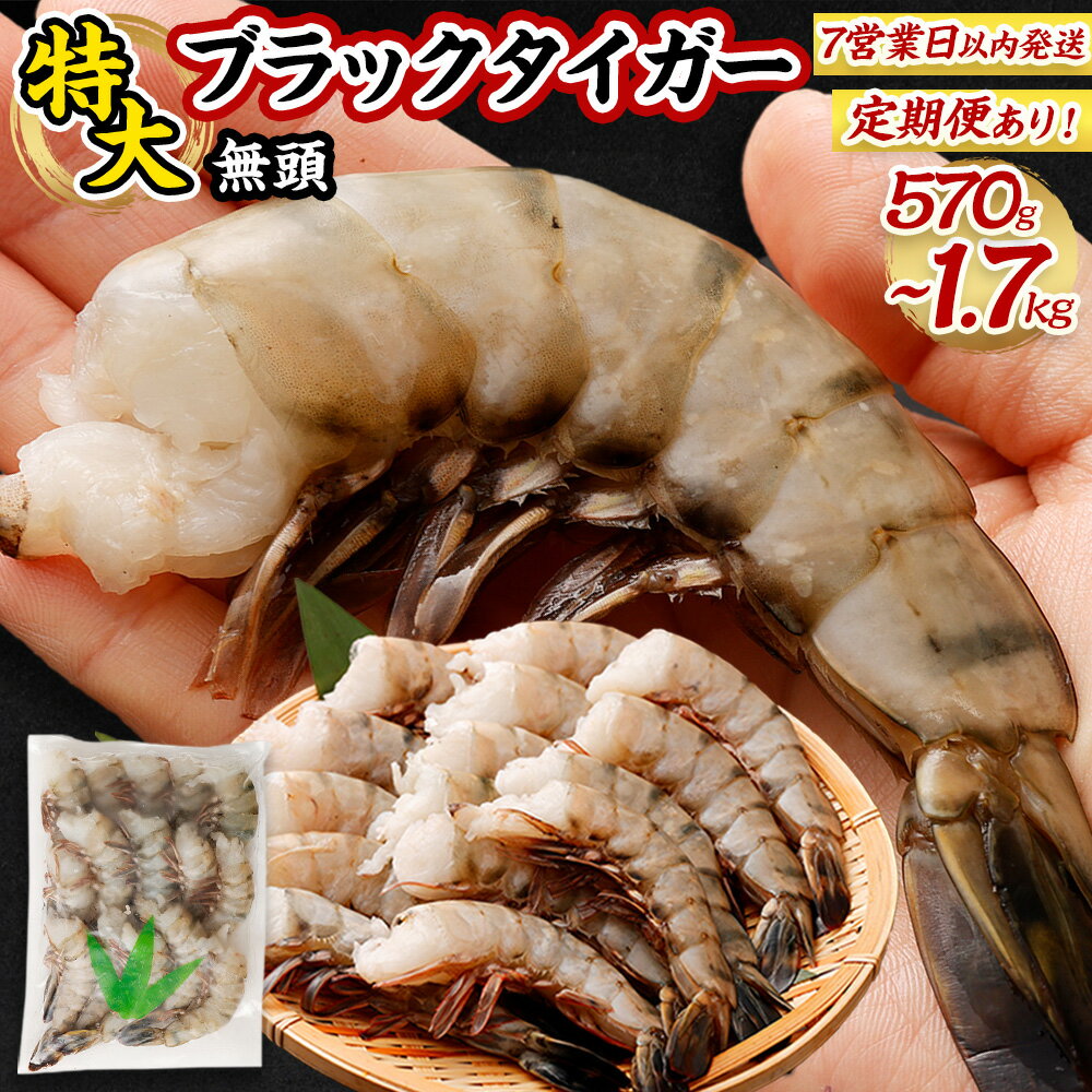 【ふるさと納税】【入金確認後7営業日以内に発送】 ＜単品・定期便が選べる＞ 特大 ブラックタイガー 無頭 えび ＜単品＞ 約570g (15尾) or 約1.1kg(30尾) or 約1.7kg(45尾) または ＜定期便＞ 3回・6回・12回 12000円 ～ 140000円 1万2000円 ～ 14万円｜冷凍 大阪府 阪南市