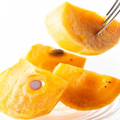 ふるさと納税 橋本市 柳フルーツ園の訳あり富有柿 約10kg【2026冬発送】 |  | 02