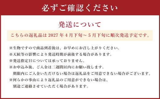 ＜ R8年熊本地震復興支援 ＞レノン メロン 箱込み 約5㎏（3～6玉入り） 赤肉メロン フルーツ 果物 赤肉【2027年4月下旬～5月下旬迄順次発送予定】