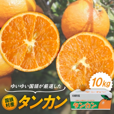 
                  ＜2027年1月から順次発送＞国頭村産 タンカン 10kg やんばるの人気柑橘 濃厚な甘みとコク【1651882】
                