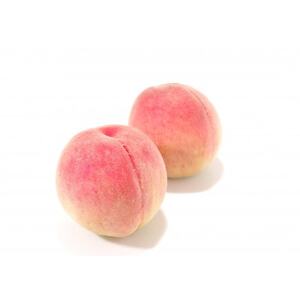 【発送月固定定期便】山梨旬の味覚定期便【桃 約2kg/2色葡萄 1kg以上】全2回【配送不可地域：離島】【4082866】