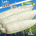 【ふるさと納税】＼寄附額改定／太物2Lサイズ以上!瀬戸内ホワイトコーン 約3.5kg【2025-6月中旬～2025-7月中旬配送】 | コーン とうもろこし トウモロコシ 野菜 瀬戸内 香川県 高松市 プチプチ 弾ける 甘い 鮮度