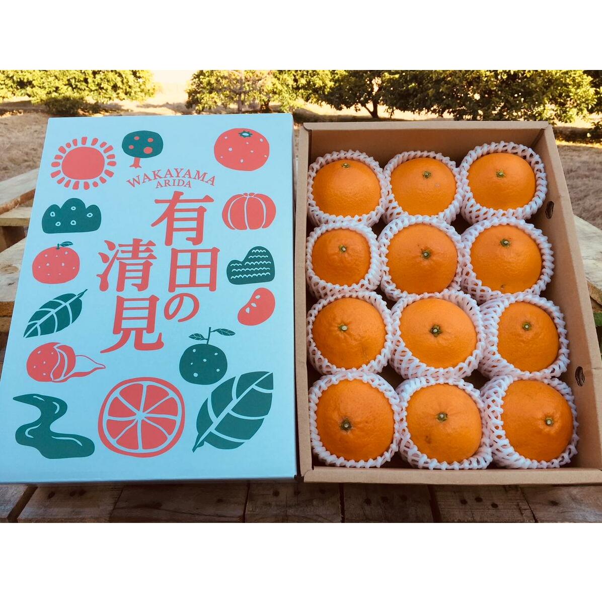 ZE6117n_有田の不知火(しらぬひ) 4kg　12玉～28玉（S～3Lサイズ混合）まごころ手選別_イメージ2