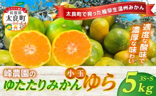 LB-5 峰農園のゆたたりみかん【ゆら】小玉 5kg 極早生温州みかん 早生温州みかん 早生 温州 みかん さがみかん 太良みかん 温州みかん ミカン 蜜柑 温州蜜柑 温州ミカン フルーツ くだもの 