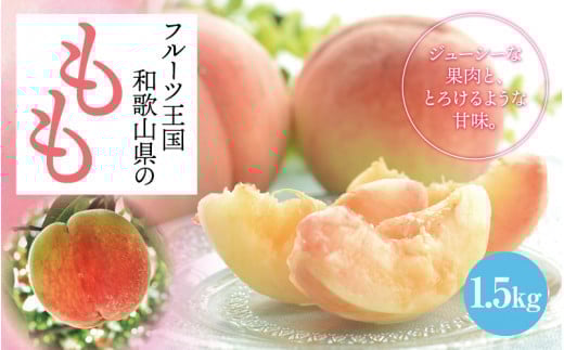 【和歌山ブランド】 【厳選】 和歌山 のこだわり 桃 約1.5kg（4～６玉）/ もも 甘い 果物 ※2025年6月中旬～7月下旬発送（順次発送予定/お届け日指定不可） ※北海道・沖縄・離島への配送不可 【ard501-p-1d5】