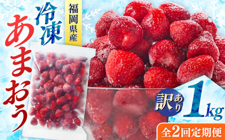 【全2回定期便】訳あり冷凍いちご「博多あまおう」1kg（加工用）  桂川町/株式会社やまやコミュニケーションズ[ADAN064]