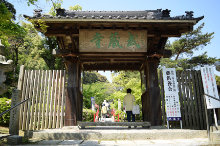 手羽先餃子 博多とんこつ味 10本 博多しょうゆ味 10本 計 20本