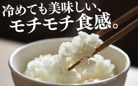 【先行予約】【令和7年産】定期便 ≪3ヶ月連続お届け≫ 化学肥料不使用 特別栽培米 ミルキープリンセス 精米 5kg × 3回（合計15kg）/ 白米 米 福井県あわら市産 美味しい 特別栽培米 減農
