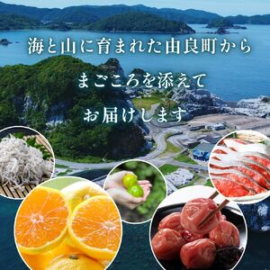 【ふるさとギフト】 あとからセレクト 【60万円】/ 選べる金額 みかん まぐろ 梅干し 梅酒 牛肉 しらす こめ油 海鮮 柑橘 フルーツ 訳あり 駆け込み 和歌山 由良町【atokara020】